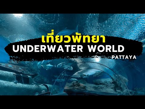 One free day : เที่ยว Underwater world Pattaya